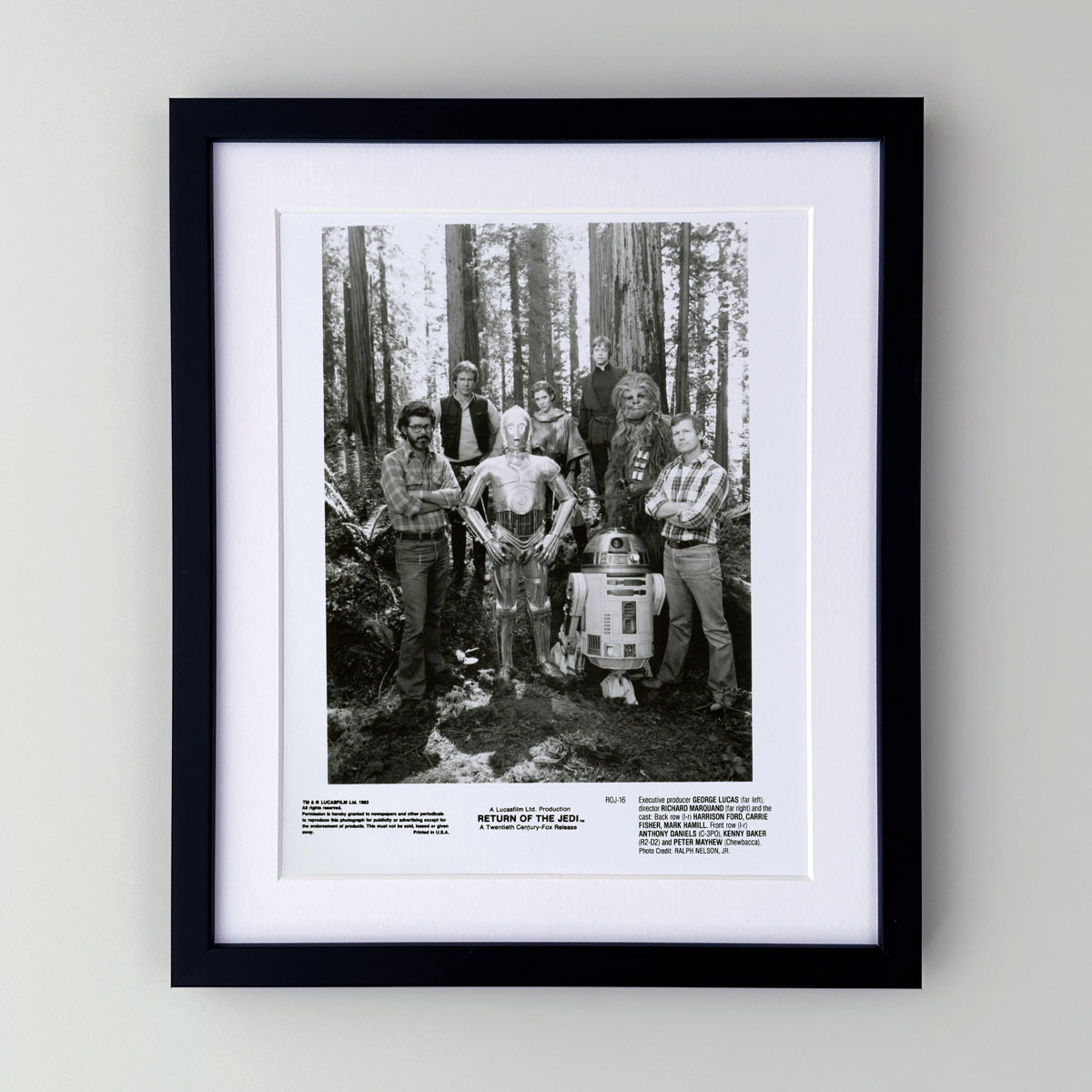 Return of the Jedi (1983) Star Wars Publicity Press Film Movie Still Photo - Framed